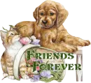 Friends Forever