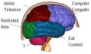 My Brain (and Your's?)