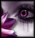 viola