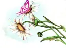 flower&butterfly