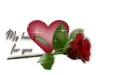 my heart is for you 