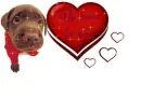 love and tears