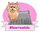 Bienvenida