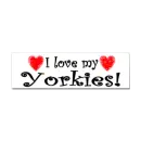 i love yorkies