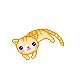little kitty