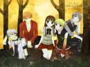 fruits basket on the edge