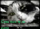 come back to me