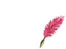 Dani Pink Feather