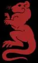 Year Of The Rat