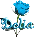 baby blue rose delia