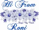Hi From Roni