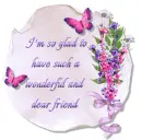 Wonderful and dear friend