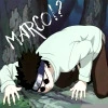 Shino - Marco