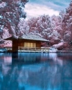 Winter Time