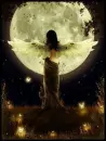 Dreamer