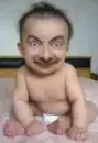 Baby Bean