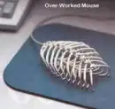 Mouse :D