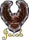 jacob harley davidson