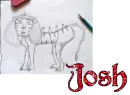 Josh