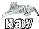 nay tiger