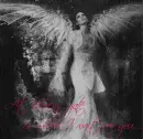 Heavens Gate