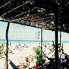 paradise