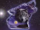 wolf in wolf