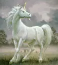 white unicorn