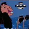 new groove