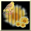 bird & flower