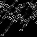 black and grey flower background