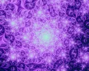 Purple Haze