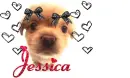 for Jess