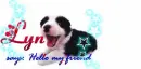 for Lyn 