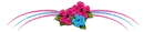 Hibiscus Bar