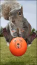 Playtime