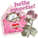 Hello Sweetie Kitty