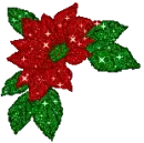Poinsettia