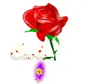 for Carla