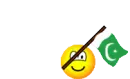 pakistan flag