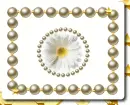 La Perla