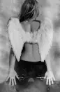 back of angel
