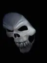 skull