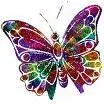 Colorful Butterfly