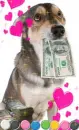 money - money - money 