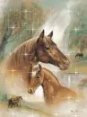 horses&beaty