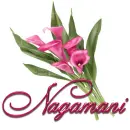 Pink Lily:Nagamani