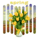 spring