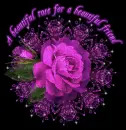 A beautiful rose for beautiful friend