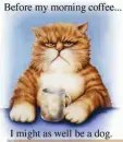 BEFORE MY MORNING COFFEE
